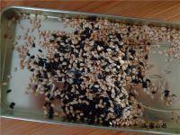 紫薯卷的做法步骤7