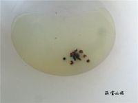 白菜炒木耳的做法步骤5