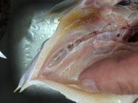 豉油皇蒸马友鱼的做法步骤5