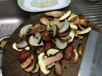 干炒黄牛肝菌的做法步骤3