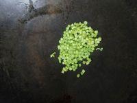 蛋包饭的做法步骤7