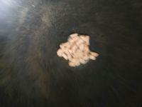 蛋包饭的做法步骤6