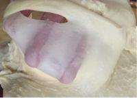 肉松面包的做法步骤2