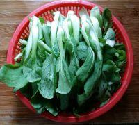 青菜秧猪肝汤的做法步骤4