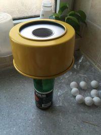 黑芝麻戚风的做法步骤16