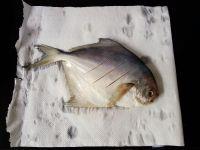 盐煎鲳鱼的做法步骤3