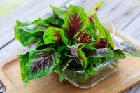 凉拌苋菜的做法步骤5