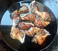 螺螺大方的做法步骤2