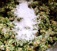 茴味留香珍珠丸的做法步骤9