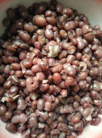 熊猫豆沙包的做法步骤1