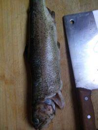 麻辣鱼的做法步骤1