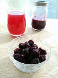 杨梅饮的做法步骤10