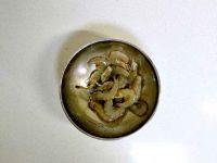 酱爆大虾墨斗鱼的做法步骤1